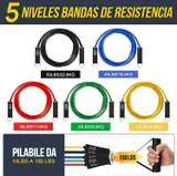 Ver imagen 2: Los cinco niveles de resistencia de las gomas elásticas Fokky